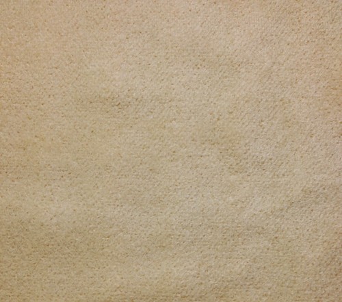 French chenille velvet - chenille, ecru